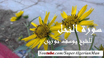 سورة النحل برواية ورش عن نافع للشيخ يوسف نورين
