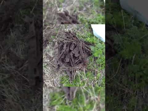 Коп Сдаем металл (мы богаты) (часть 2из3)  #коп #рыбалка  #metaldetecting