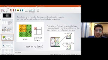 Early Detection of Various Types of Skin Cancer Using Deep Learning CNN