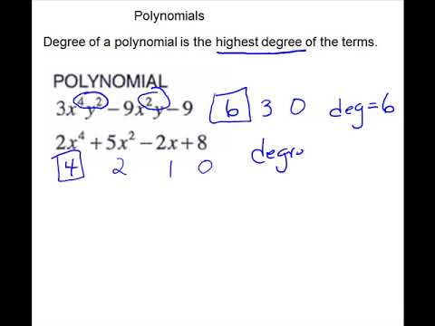 Polynomials - YouTube
