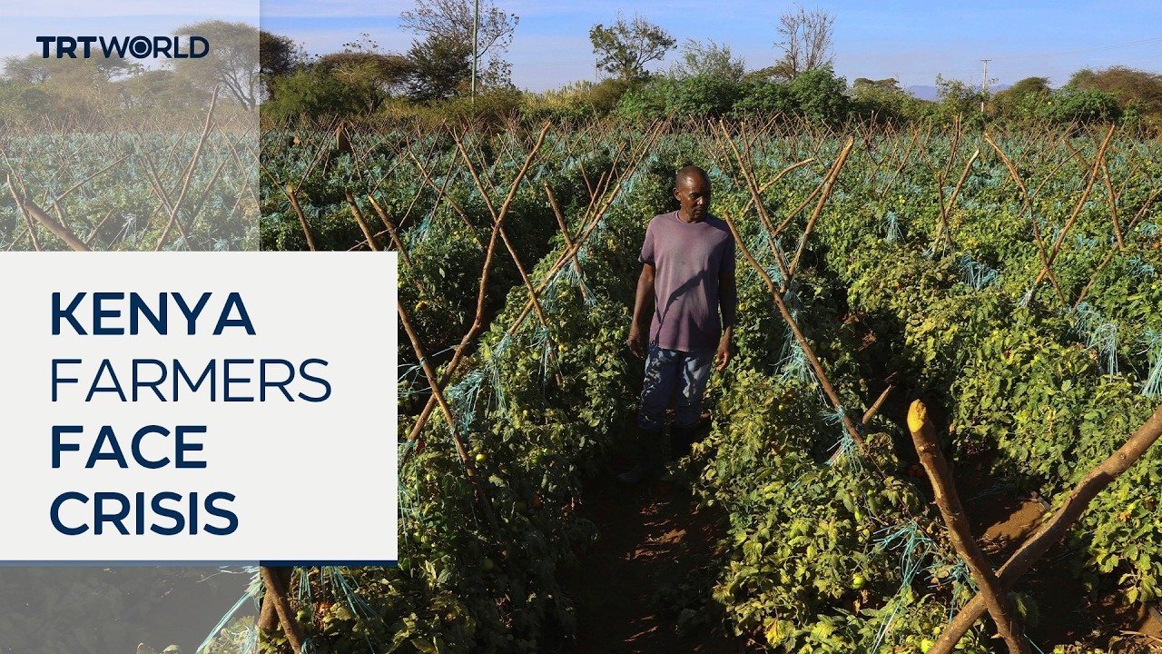 Kenyan farmers face mental health toll as climate losses grow
