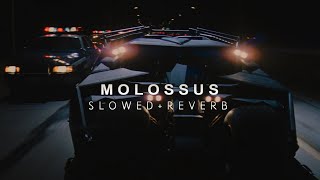 Batman Begins - Molossus (Slowed + Reverb)