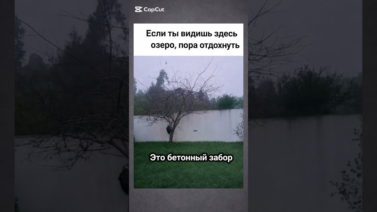 Оптический обман» 👀