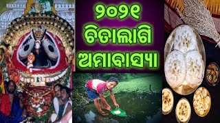 2021 Chitalagi Amabasya in odisha,Chitalagi Amabasya 2021 in odia,Genda kata Amabasya,chitau pitha, screenshot 3