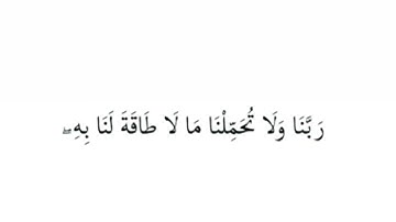 لا يكلف الله نفسا إلا وسعها (سورة البقرة 286)