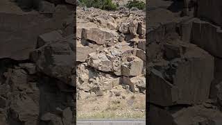 Granite 250 Million Years Old
