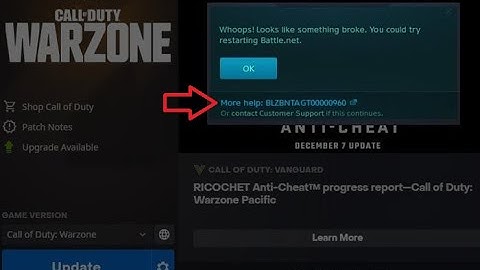 How To Fix Battle.net Error Code BLZBNTAGT00000960 In Windows