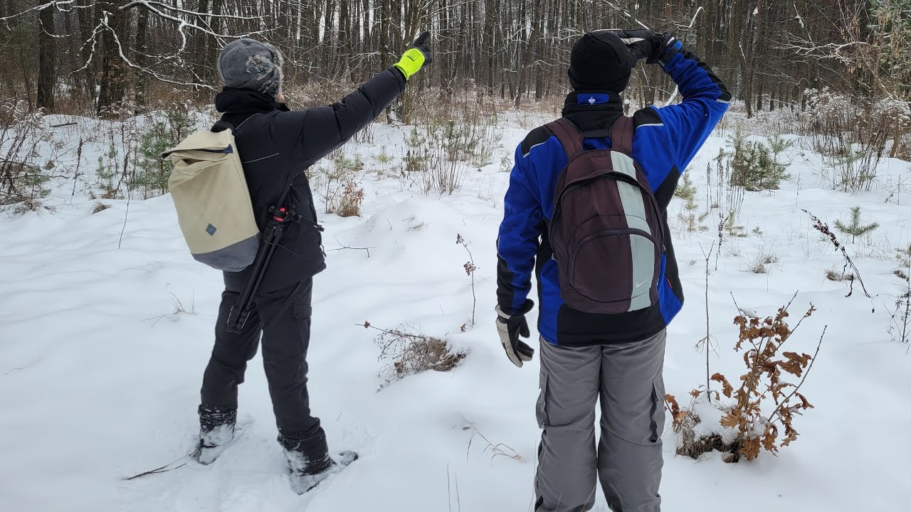 How long will it snow? I'm traveling in the forest. Life