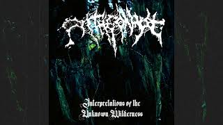 Antagonyze (Chl) - Interpretations of the Unknown Wilderness (Album 2024)