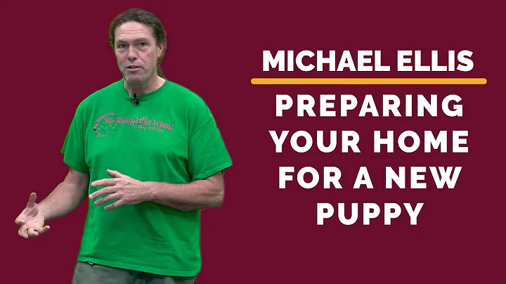 Michael Ellis on Preparing Your Home For a New Puppy