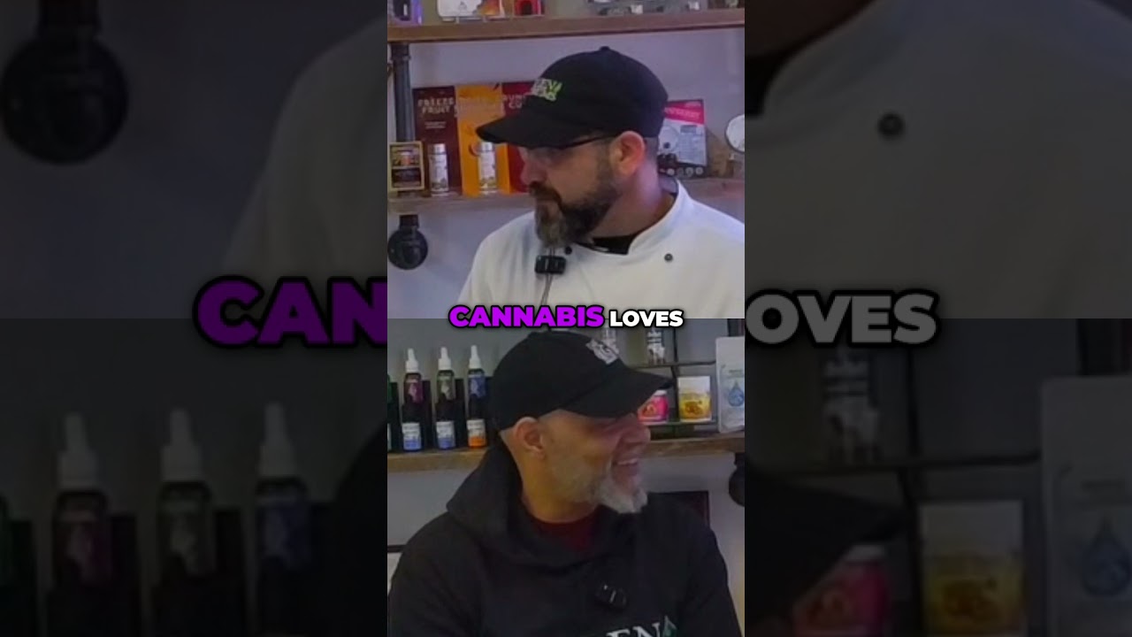 Transform Dabs into Delicious Edibles: Easy Recipes!