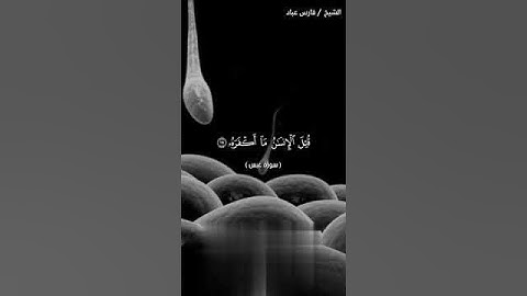 قتل الإنسان ما اكفره ¦¦سورة عبس¦¦ القارئ فارس عباد