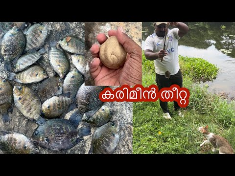 karimeen เดชเดฟเดเดฟเดเตเดเดพเตป เดคเตเดฑเตเดฑ เดเดเตเดเดจเต เดเตเดดเดเตเดเดพเตฝ เดฎเดคเดฟ. เดฎเตเตป เดเดฟเดเตเดเตเดจเตเดจ เดธเตเดฅเดฒเด เดเดฃเตเดเต #fishing #shorts