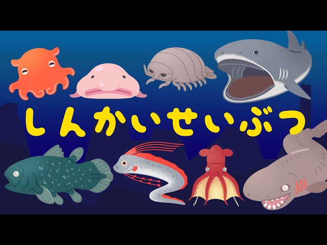 深海魚のなまえわかるかな?