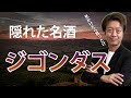 ジゴンダス　ワイン｜ローヌの隠れた名酒の解説