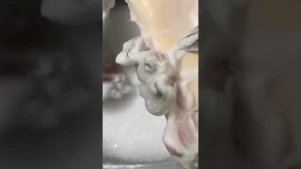 ١٨ فبراير ٢٠٢٦