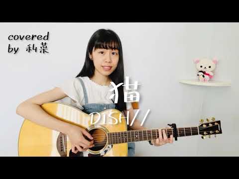猫 / DISH// (covered by 利菜)【弾き語り＊一発撮り】