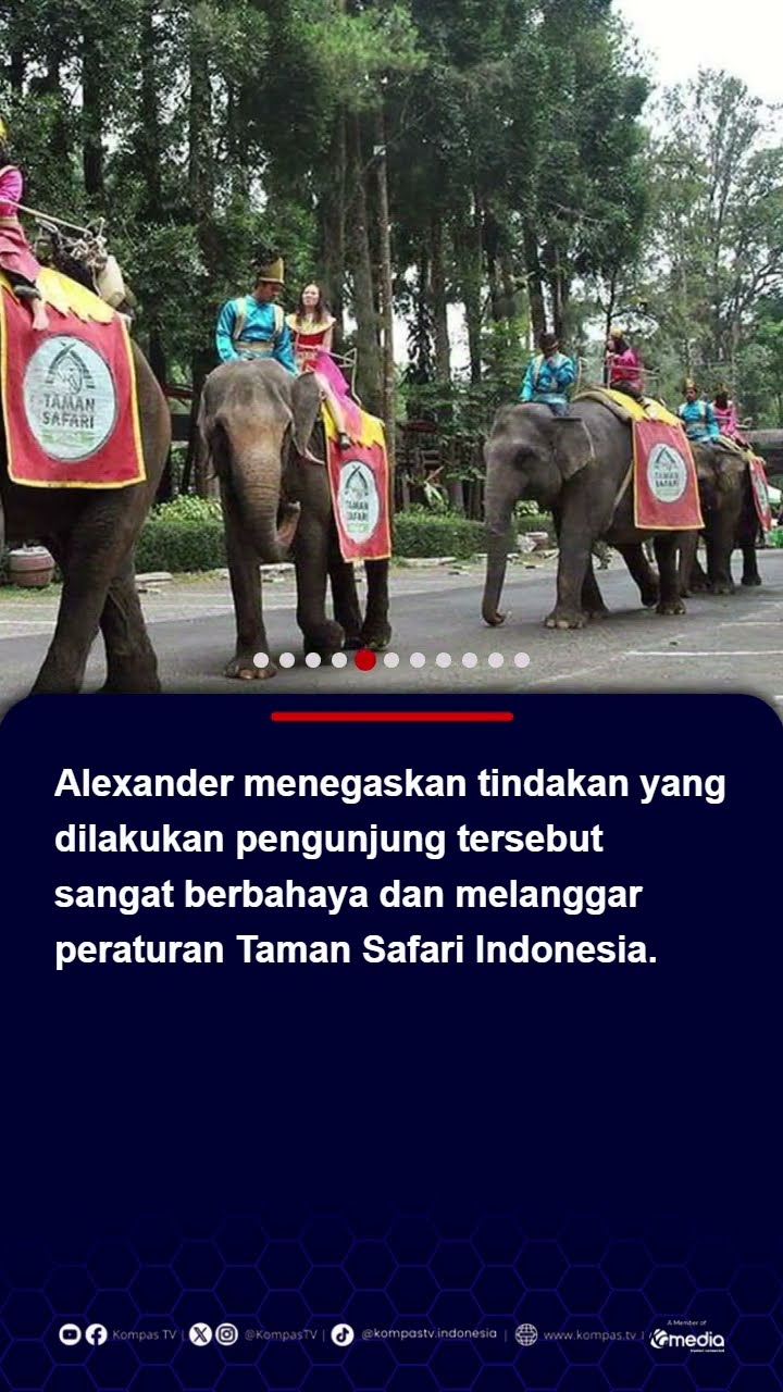 Viral Pengunjung Nekat Turun dari Mobil di Taman Safari Bogor, Berujung Di-Blacklist #tamansafari
