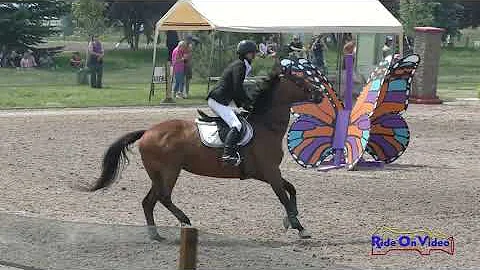 471S Allison Bloodworth on Lady Cab Driver SR Novi...
