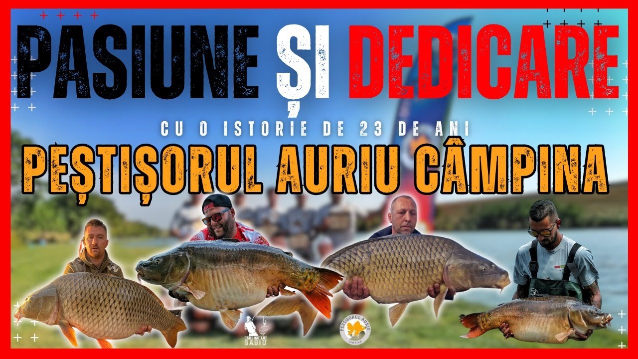 23 de ani de EXPERIENTA! Peștișorul Auriu Câmpina dezvăluie toate secretele la Cârligu' lui Gagiu!