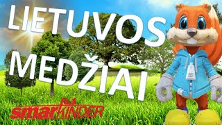 ✅ Lietuvos medžiai | SmartkinderTV | Filmukai vaikams lietuviškai