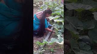 Pat 3 tar aami maleta gelelo 🥰