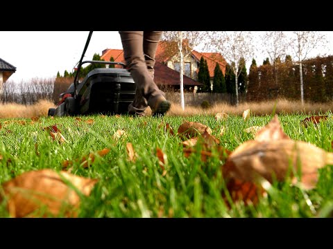 Wideo: Jesienne zadania ogrodnicze – prace domowe na listopad na północnym wschodzie