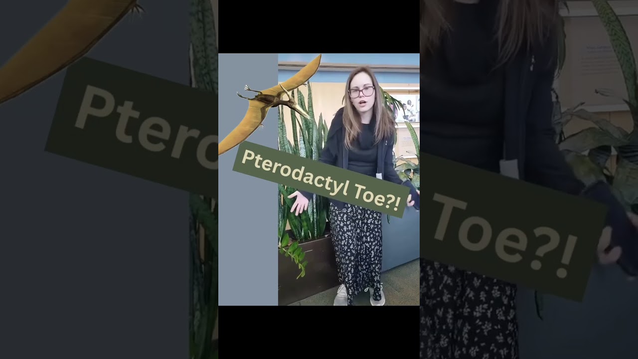 Pterodactyl Toe Syndrome! 