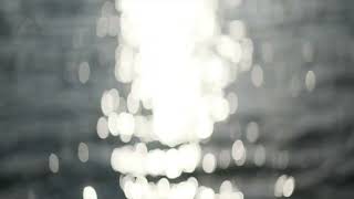 Ansh - Euphoric Echo