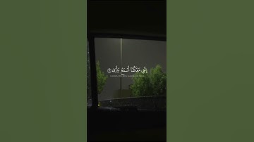 اكتب شيء تؤجر عليه | القارئ شريف مصطفى #قرآن #quran #المصحف