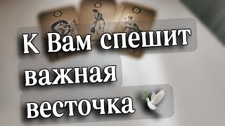 🕊️К ВАМ неожиданные ВЕСТИ ИДУТ❗️От кого⁉️О чем⁉️