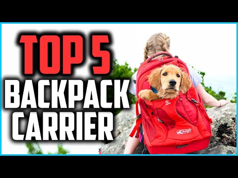 top-5-best-dog-backpack-carrier-in-2020