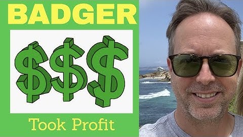 BADGER COIN PRICE PREDICTION - TOOK PROFIT