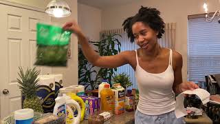 Realistic Grocery Haul for Single Woman | Harris Teeter Grocery Haul | Gabrielle Ishell