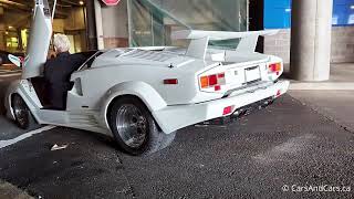 Lamborghini Countach - Pure V12 Presence