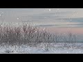 ЮЛИЯ МИХАЛЬЧИК МЕТЕЛЬ ЮЛИЯ МИХАЛЬЧИК МЕТЕЛЬ