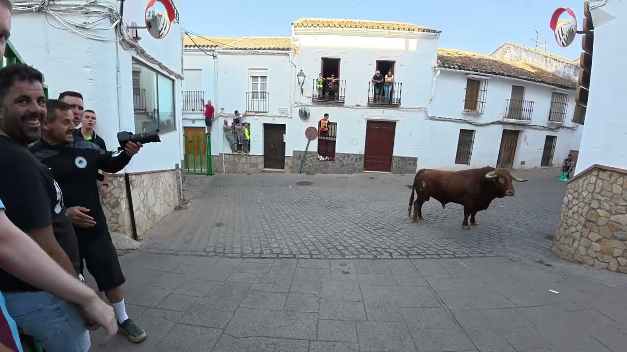 2/3 Toro  El Gastor 11/10/25 17:30 