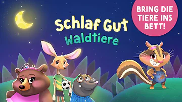 Schlaf Gut Waldtiere 🌲 Geschichte zum Einschlafen für Kinder ab 2 mit Tieren und Musik 🌲 Gute Nacht!