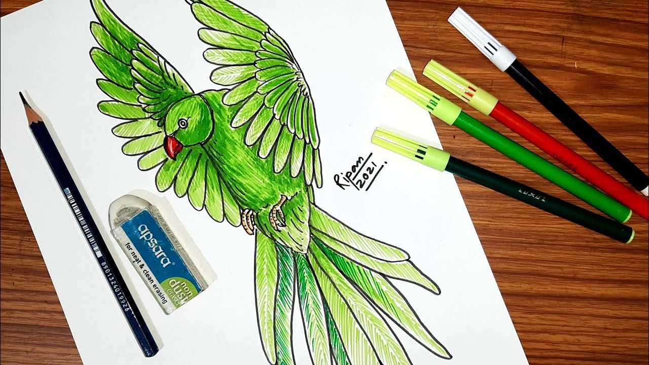 PARROT drawing easy using colouring sketch pens, Sketch pen drawing  tutorial