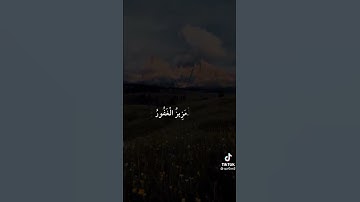 سعد الغامدي#تلاوة خاشعة#