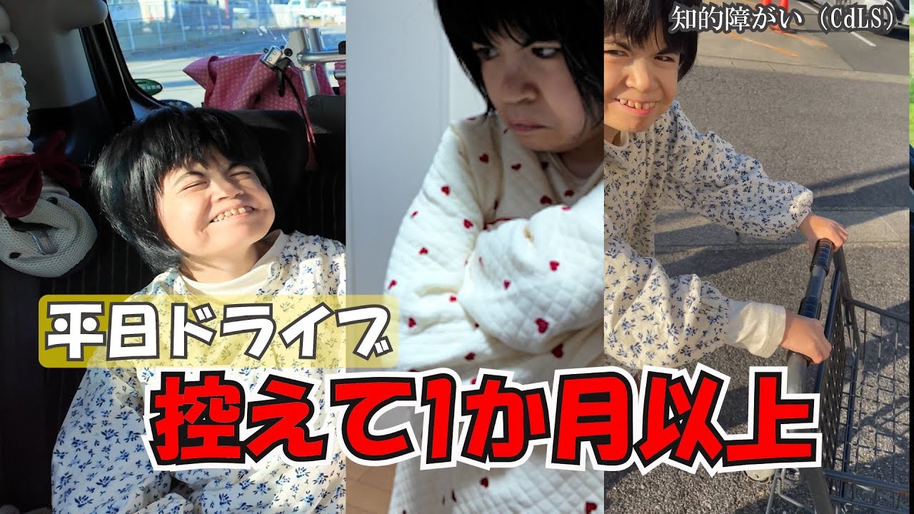 【近況報告】平日ドライブを控えて1か月以上…このはの変化と今の過ごし方