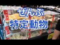 特定動物が最期に売買されるイベントに行ったら完売してたよ！？