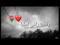 فيديو عن النجاح   