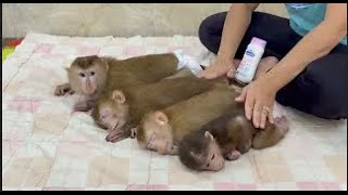 Adorable Most Moment Mom Gently Take Best Care Of Lil Sibling So Sleepy Want To Nap !!