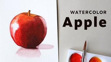 How to paint an apple in watercolor -Beginner