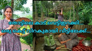 തോട്ടിലെ കാട് വെട്ടിഇറക്കി...ഒരു കെട്ട് വിറകുമായി വീട്ടിലേക്ക്/Saranya's beauty vlogs/Day in my life