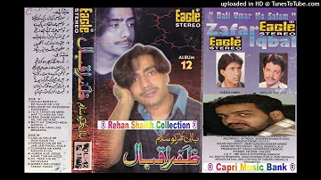 004 - Tera Gham Agar Na Hota - Zafar Iqbal Zafri - Volume # 12 - Bali Umar Ko Salam