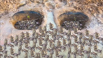 Smart Boy Make Easy deep hole with Electric Fan Guard crab trap - How To Make 2 deep hole crab trap