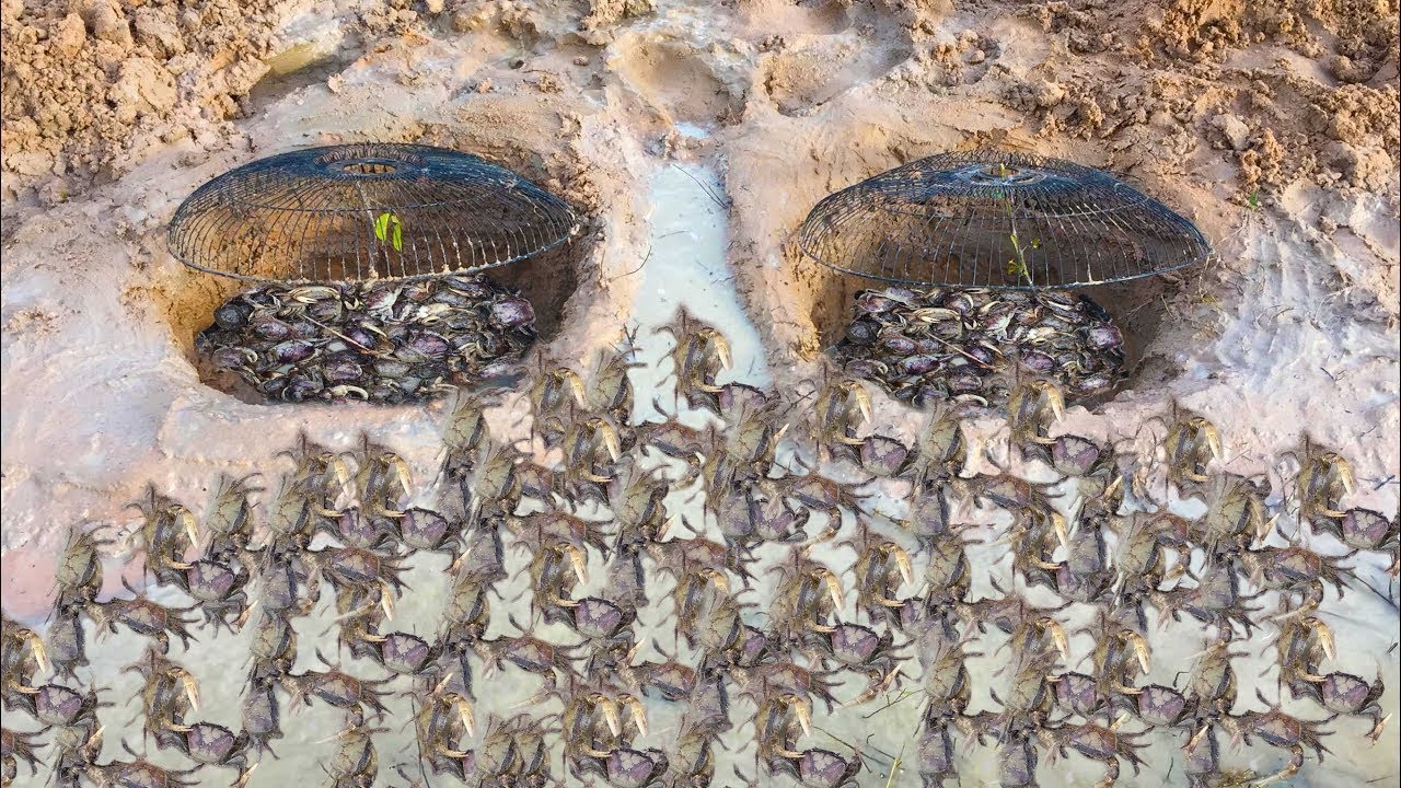 Smart Boy Make Easy deep hole with Electric Fan Guard crab trap - How To Make 2 deep hole crab trap