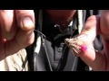 How To Tie the Clinch Knot and How to Remove it Without Cutting
